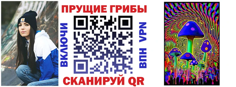 купить наркоту  kraken как зайти  Галлюциногенные грибы мицелий  Димитровград 